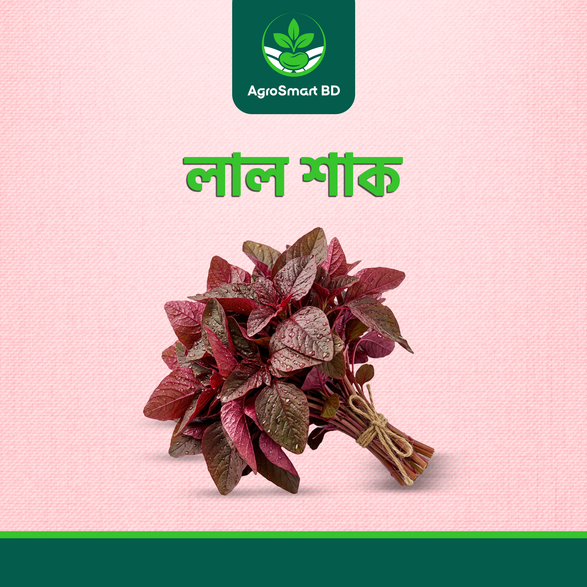 হাইব্রিড লালশাক এর বীজ