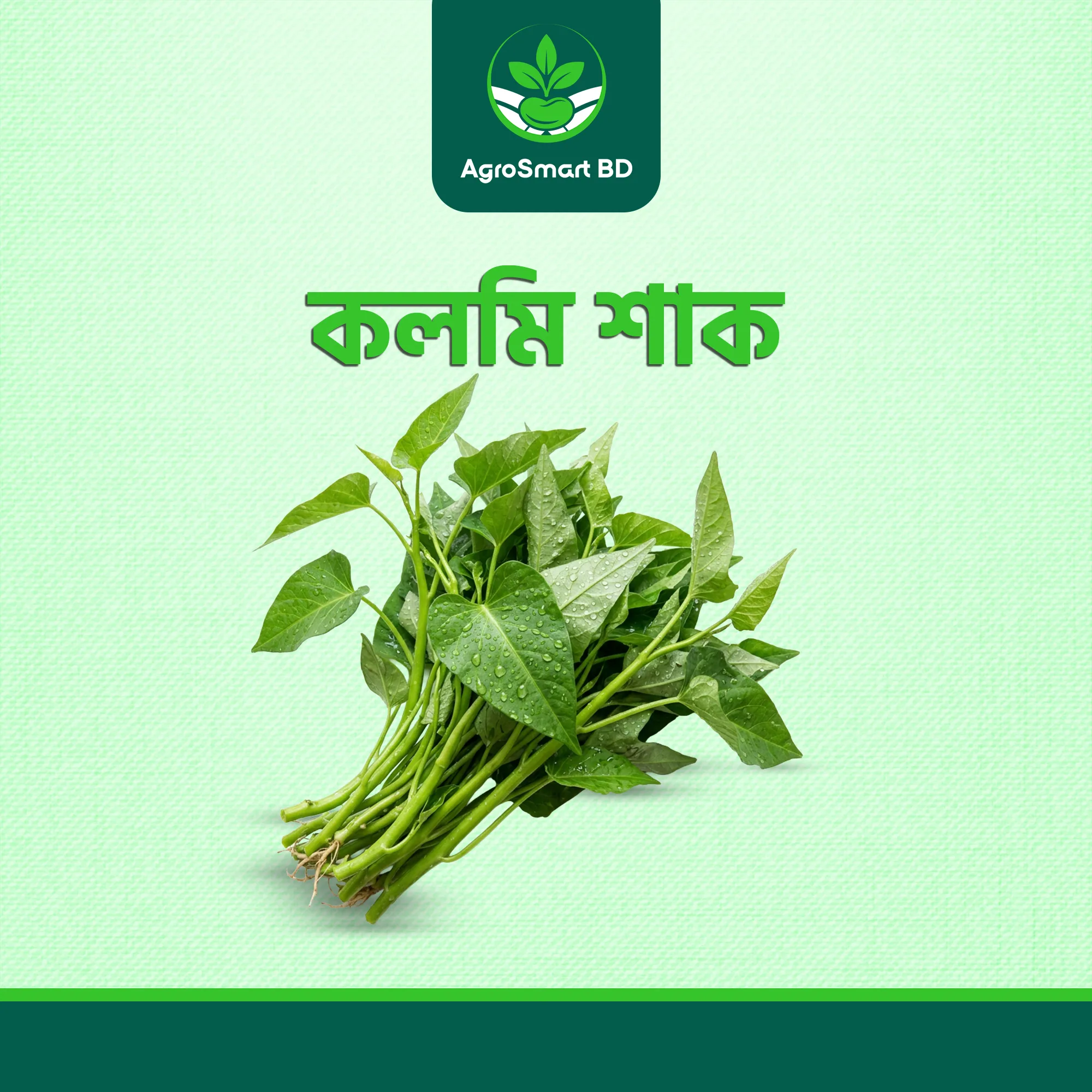 কলমি শাক বীজ