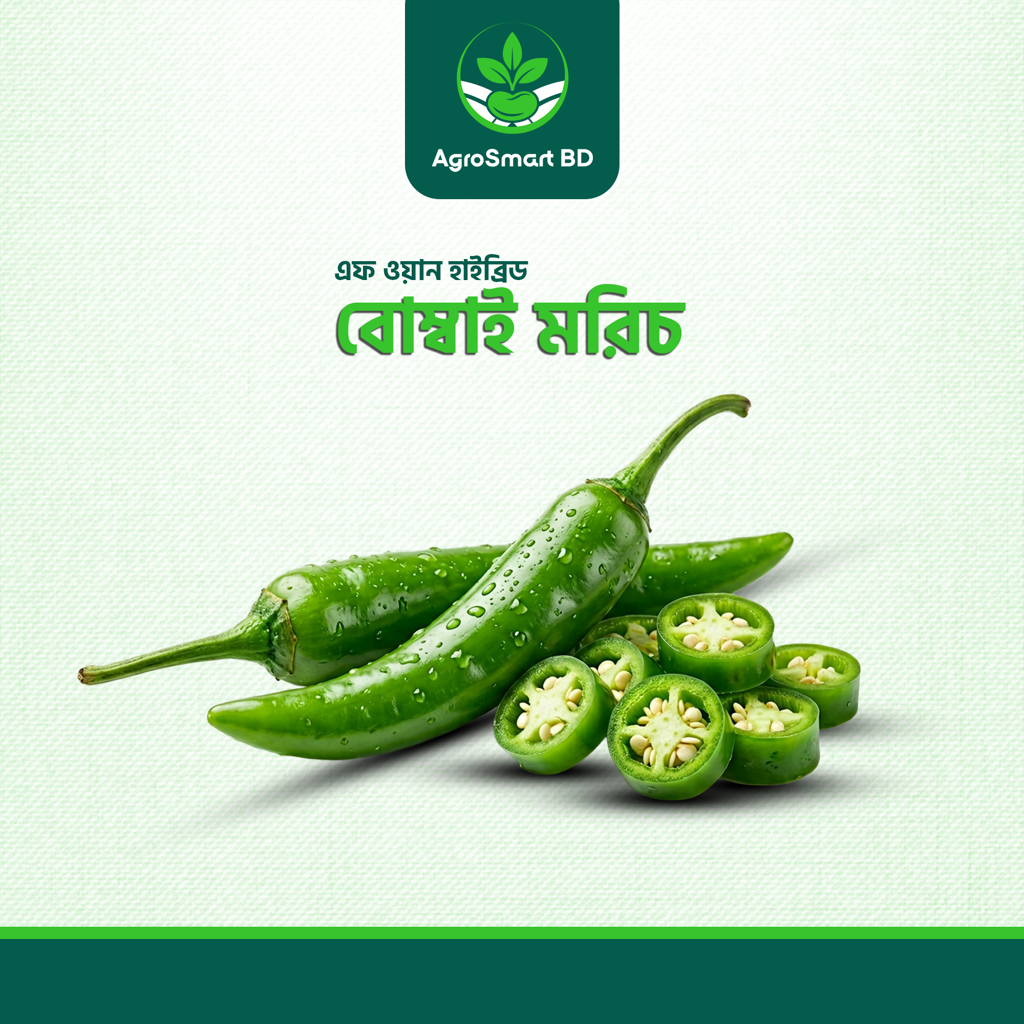 এফ ওয়ান হাইব্রিড বোম্বাই মরিচ বীজ