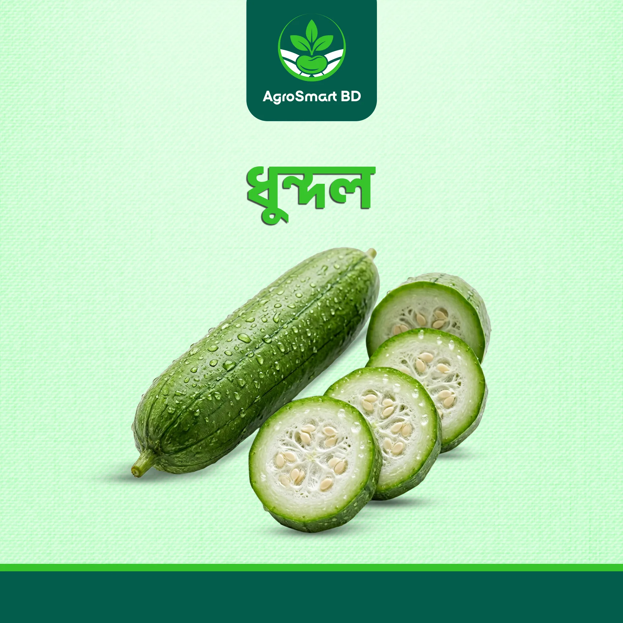 ধুন্দল বীজ