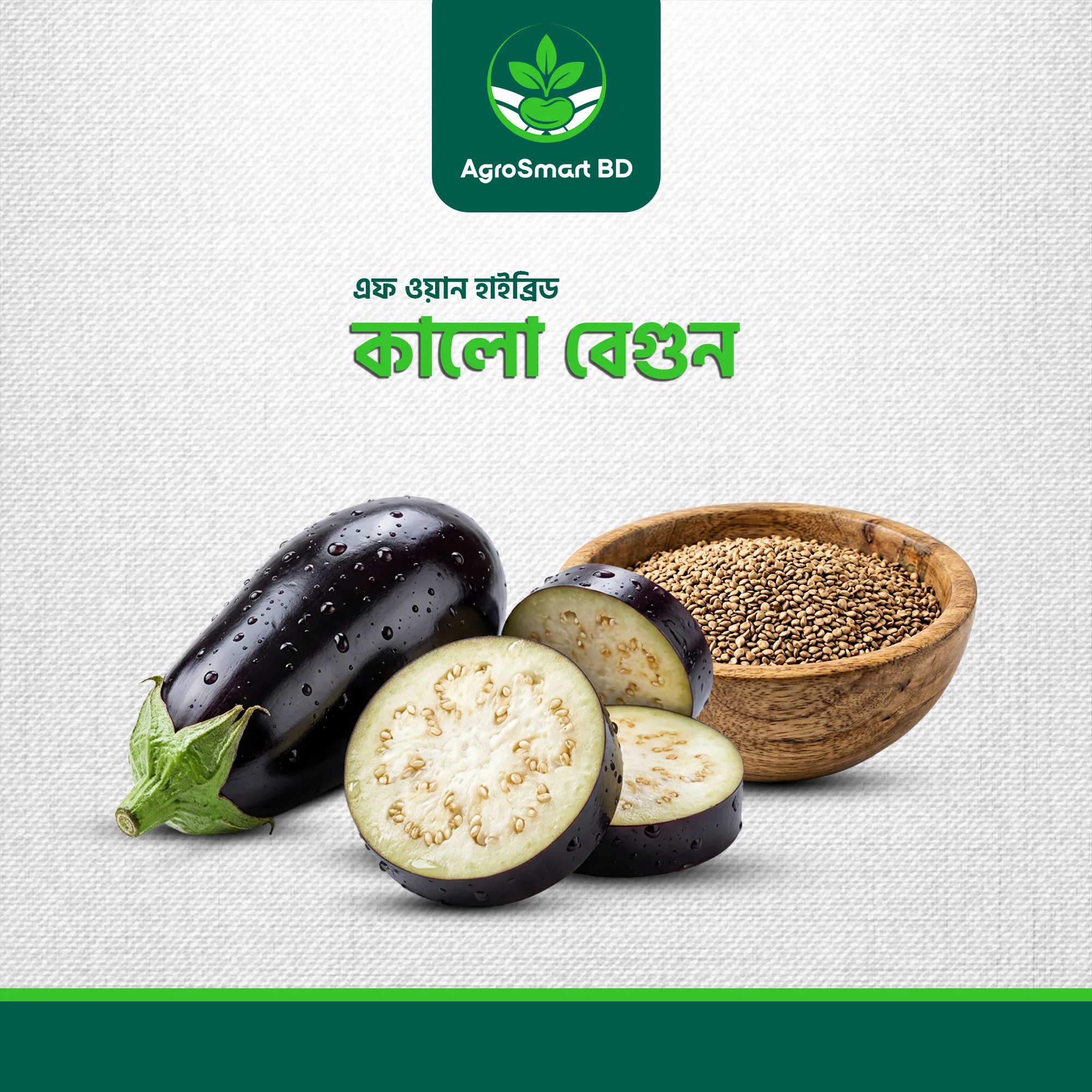 এফ ওয়ান হাইব্রিড কালো বেগুন বীজ