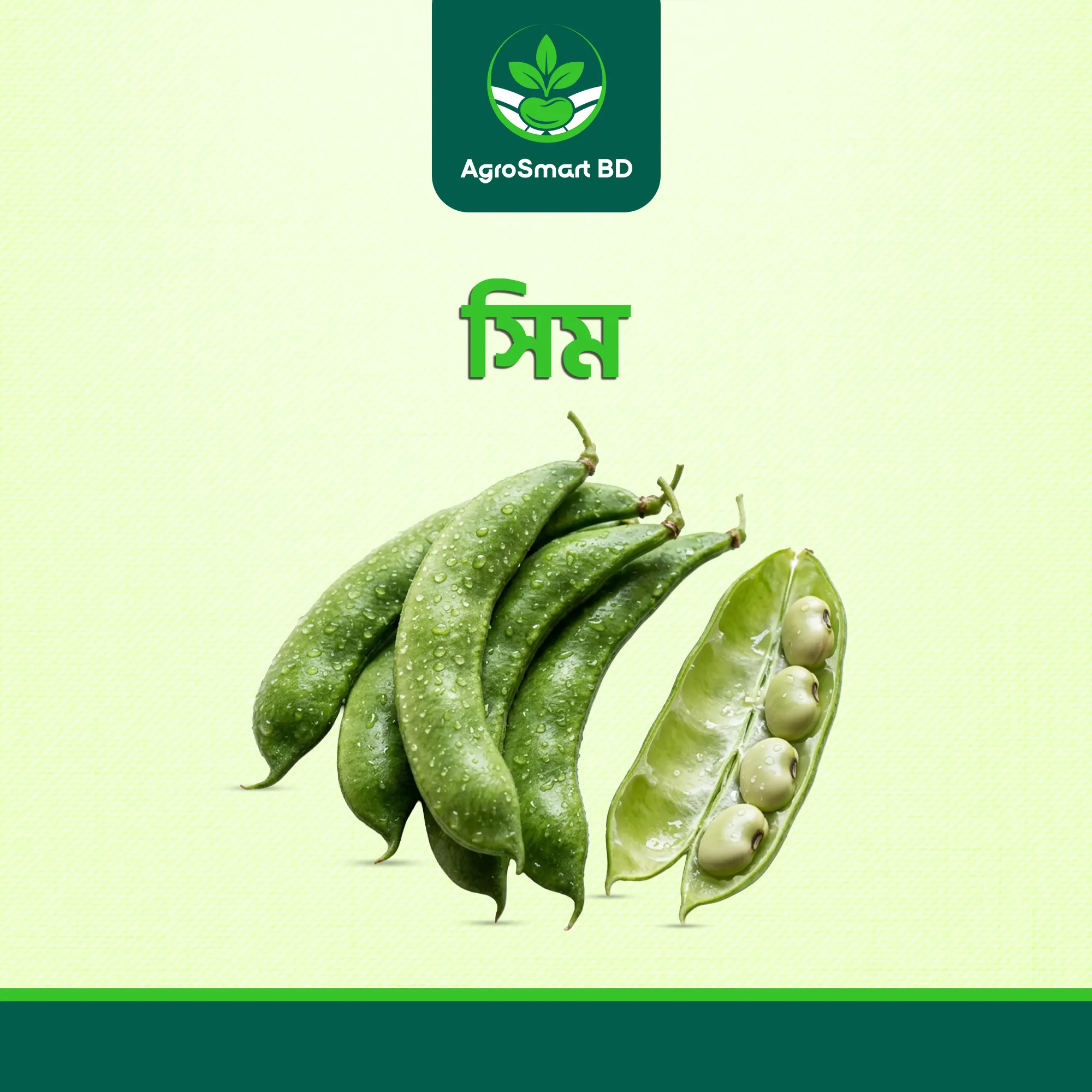 সিম বীজ