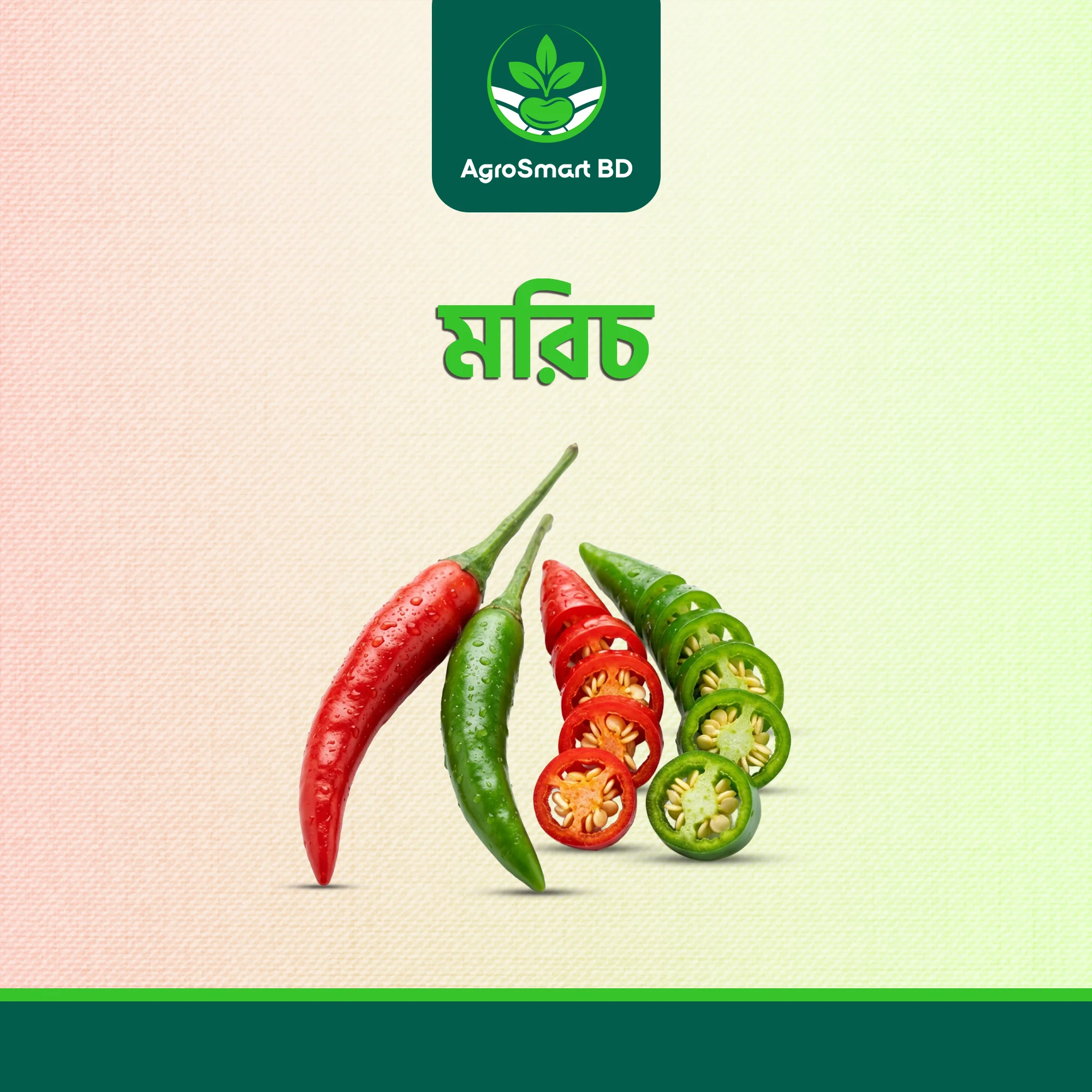 মরিচ বীজ